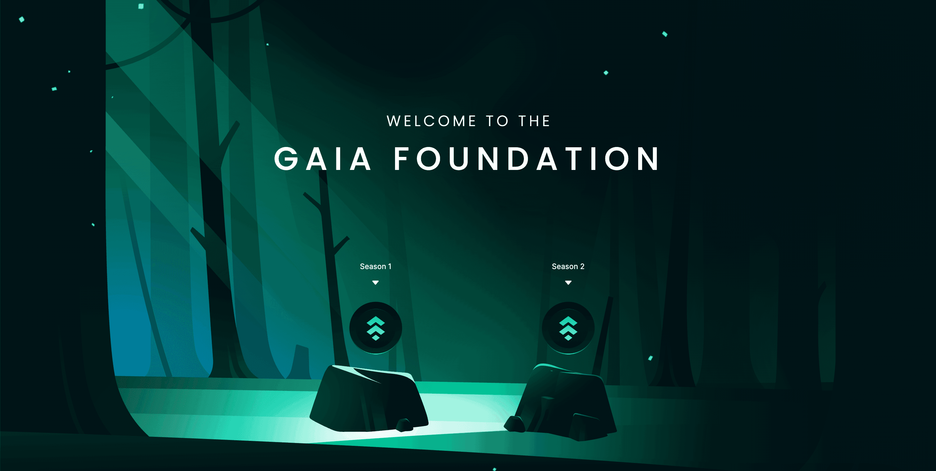 Screenshot of Gaia Foundation project
